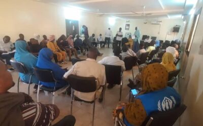 🌍 Projet NEXUS – Cohésion Sociale | Niger